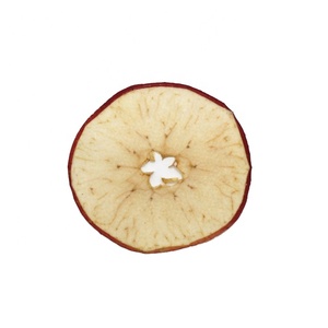 Fette di Arancia Essiccate e Pressate per Creazione di Gioielli in Resina e Artigianato - Product Image 4
