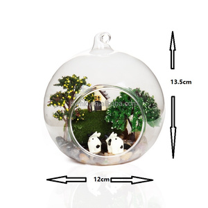 איכות גבוהה מודרני ברור כדור תלוי זכוכית vase <span class=keywords><strong>terrarium</strong></span> בתפזורת אוויר בתוך צמח פרח טרריום עבור עיצוב הבית ידידותי לסביבה - Product Image 1