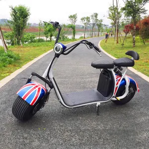 2021 Yongkang HD factory wholesale price 1000W 2000w citycoco scooter citycoco/seev/woqu/scrooser with best price Hoodax scooter