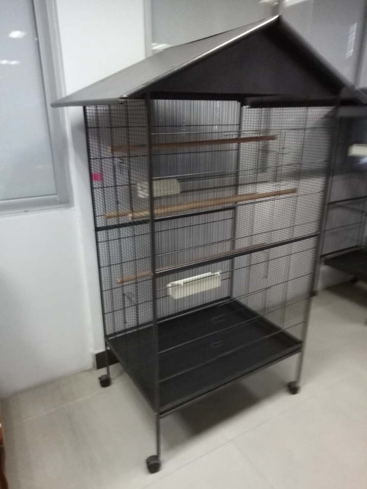 grey african parrot cage accessories