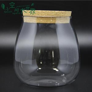 <span class=keywords><strong>Terrario</strong></span> <span class=keywords><strong>in</strong></span> <span class=keywords><strong>Vetro</strong></span> Borosilicato Soffiato a Bocca all'Ingrosso di Fabbrica 20cm*14cm 10cm*12cm - Product Image 6