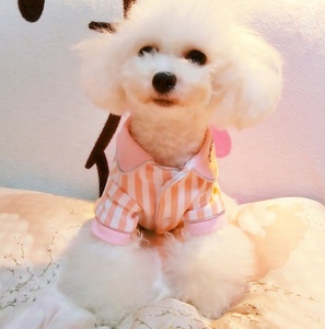 Heyri Piaraan 2022 Piyama Anjing Piaraan Penjualan Laris Di Korea Eropa Amerika Harian Tidur Lembut Katun Nyaman Pakaian Piama Anjing Piaraan - Product Image 2