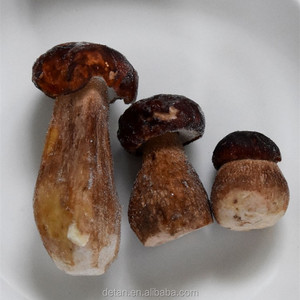 Detan <span class=keywords><strong>Boletus</strong></span> Edulis <span class=keywords><strong>precio</strong></span> - Product Image 3