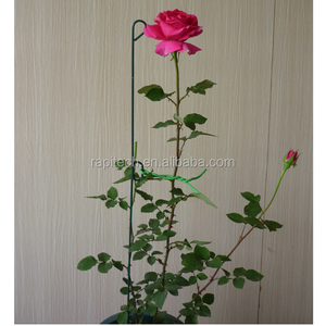 Anillos de soporte para plantas - Product Image 5