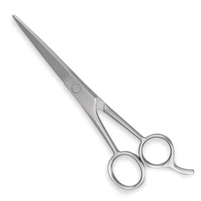 Economy Barber Hair Scissors 6" Satin Finished Hair Cutting Scissors Stainless Steel Barber Scissors