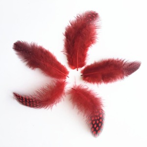 Plumas de Ganso de Alta Calidad al por Mayor, de 5-10 cm, con Puntos de Perla, para Joyería, Manualidades, Ropa y Accesorios - Product Image 4