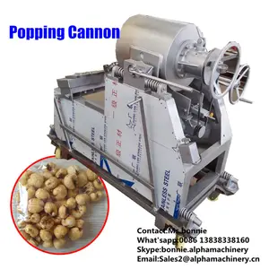 Hot Industriële Popcorn Tarwe Rijst Paaps Maken Kanon Machine