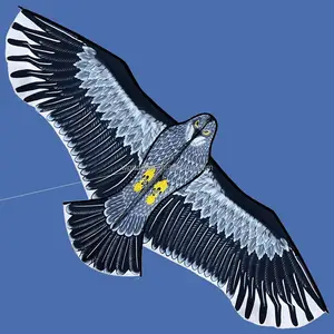 eagle kite for kids