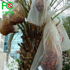 ถุงตาข่ายป้องกันผลไม้ HDPE ใหม่ 100% สำหรับอินทผลัม/<span class=keywords><strong>มะม่วง</strong></span> ป้องกันแมลง - Product Image 3