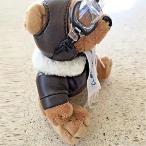 定制制服带玻璃的泰迪熊玩具