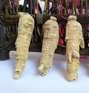 Xi yang shen Secca nuovo havested canadese grezzo ginseng per il tè - Product Image 6