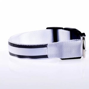 Lueur en gros colliers de chien produits pour animaux de compagnie chien chat collier de chien léger mené - Product Image 5