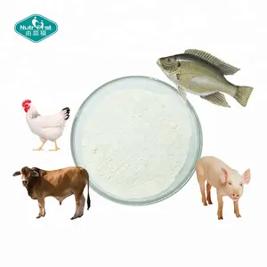 Produk Kecantikan Suplemen Kolagen Hidrolisat Ikan Mentah Peptida Bubuk Kolagen Laut Dalam Jumlah Besar