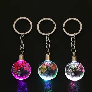 Được Thiết Kế Cho Thời Trang Xuyên Biên Giới Long Lanh Trang Sức Hoa Khô Thời Gian Đá Quý Thủy Tinh LED Light Keychain