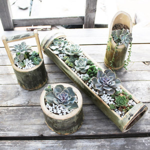 <span class=keywords><strong>Florero</strong></span> <span class=keywords><strong>de</strong></span> bambú para manualidades <span class=keywords><strong>de</strong></span> decoración <span class=keywords><strong>de</strong></span> Material <span class=keywords><strong>de</strong></span> bambú <span class=keywords><strong>de</strong></span> pulido largo - Product Image 6