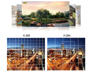 ORDRO-cámara de vídeo Digital para caza fantasma profesional, transmisión en vivo, AZ50 4K, 30fps, entrega rápida - Product Image 4