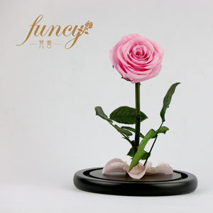 Kunming çiçek fabrikası mezuniyet ve anneler günü için 50 renk sonsuza kadar kalıcı güller sunuyor - Product Image 3