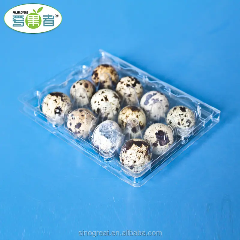 Concha de embalaje de plástico de alta calidad con 12 huevos de codorniz, fabricante