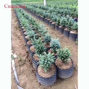 garden pots for sale planting pots cheap plant pot root control container for healthy and fast growth