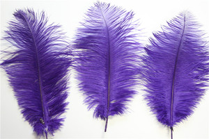 14 "-16" Al Por Mayor de la Tela Púrpura de Plumas de Avestruz Para la Decoración de Plumas de Avestruz Fan - Product Image 6
