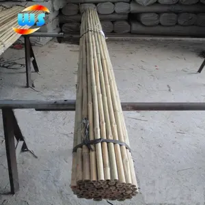 Bamboo For Garden Bamboo Stick Bamboo Poles For Garden