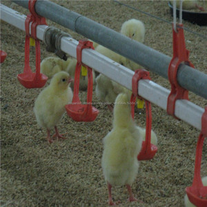 Buen <span class=keywords><strong>precio</strong></span> comederos y <span class=keywords><strong>bebederos</strong></span> <span class=keywords><strong>de</strong></span> pollo <span class=keywords><strong>para</strong></span> la granja <span class=keywords><strong>de</strong></span> aves <span class=keywords><strong>de</strong></span> corral - Product Image 5