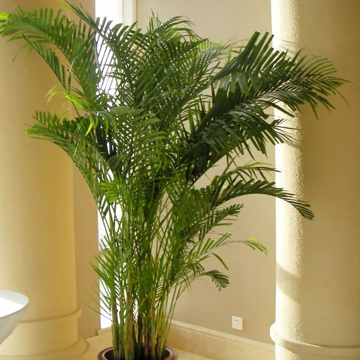 Hawaii palm Kunstmatige Planten Palmboom