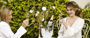 ชุดบาร์, แชมเปญ Perrier jouet ต้นไม้ที่มีเสน่ห์ - Product Image 5