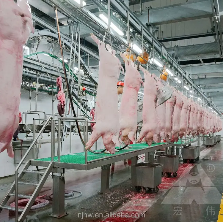 100 pig per dag pig slaughterhouse apparatuur pig slachten lijn