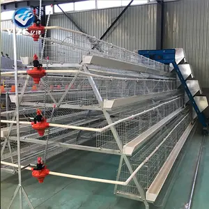 Automatic feeding equipment A type chicken cage for battery hen run coop poultry farm equipment