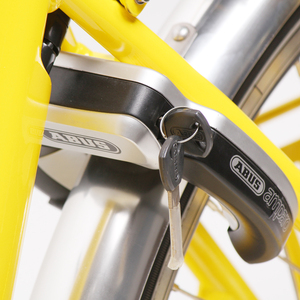 Vélo électrique TXED 36V avec grand panier, moteur puissant de 250W, batterie au lithium, cadre en acier et alliage d'aluminium, vélo électrique de livraison - Product Image 5