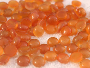 Cabochon in agata color ambra perle di pietra sciolte in agata di miele 10mm - Product Image 4