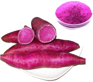 Sweet Potato Powder /purple Sweet Potatoes Powder for Food Pigment Supply Pure Purple Fruit Juice Powder Herbal Extract