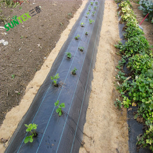 Couverture <span class=keywords><strong>de</strong></span> sol en tissu barrière contre les mauvaises herbes pour la plantation, 100GSM 4x100M tissu <span class=keywords><strong>de</strong></span> paillis anti-mauvaises herbes - Product Image 3