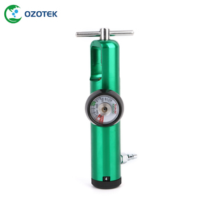 Tıbbi ozon jeneratörü için OZOTEK oksijen debimetre regülatörü CGA540 - Product Image 4