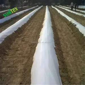 Сельскохозяйственная пластиковая наземная крышка/мембрана для сорняков/черная пластиковая мульча для продажи