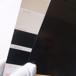 ISO Factory Ral Color Chart 9005 black spray epoxy polyester powder coating