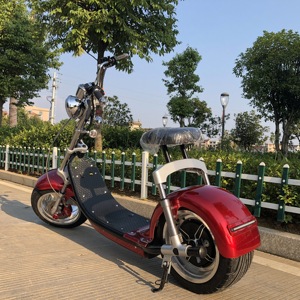 Gratis Verzending Nieuwe Model Grote Een Wiel 1000W Krachtige Elektrische Scooter Groothandel - Product Image 3