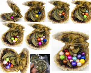 Ostriche confezionate sottovuoto da 6-7mm akoya pearl oyster saltwater pearl oyster molti colori stock spedizione gratuita - Product Image 4