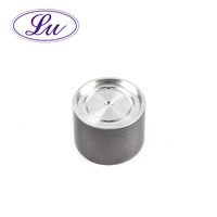 LVE-NS0004 13231-38U10 13231-38U15 Katup Pengangkat Buang Masuk Besi Cor Bersertifikasi ISO 9001 Garansi 1 Tahun Standar OEM