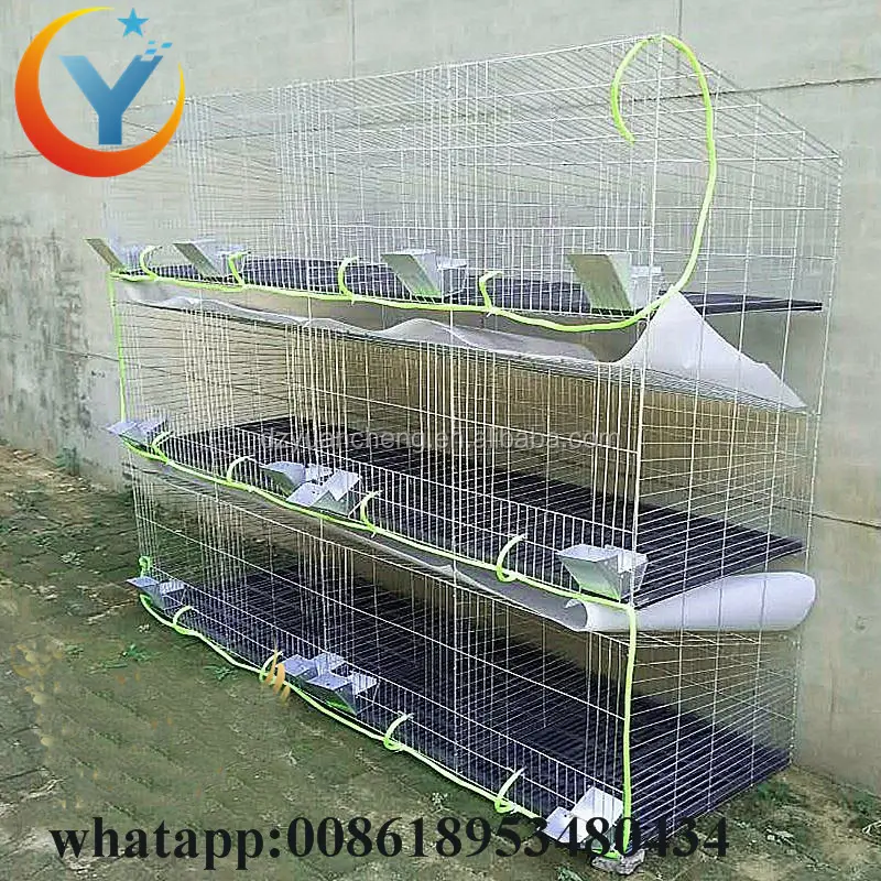 Sistema removível da gaiola da coelho da saída de fábrica para venda tipo h