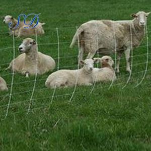 Champ <span class=keywords><strong>D</strong></span>'<span class=keywords><strong>escrime</strong></span> Fil Clôture En Gros - Product Image 3