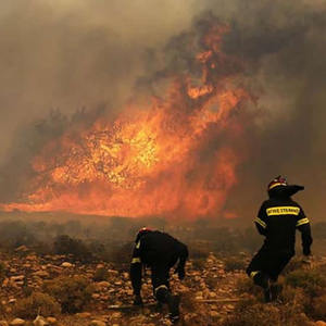 Notable forestales bomberos para incendios forestales - Product Image 6