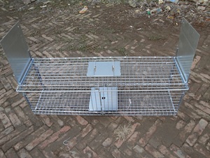 Fabrika doğrudan satış için kullanılan kafes tuzak çakal sansar kedi tuzak kafesi çift kapı giriş katlanabilir hayvan tuzağı kafes - Product Image 3