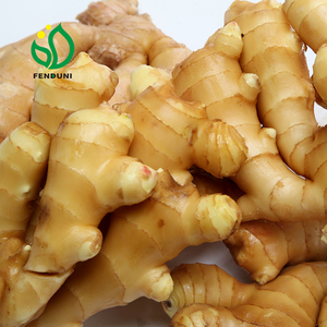 ขิงแดงแห้ง (50 กรัม~200 กรัมขึ้นไป) - Product Image 6