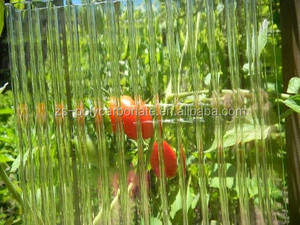 Lastra in <span class=keywords><strong>Policarbonato</strong></span> <span class=keywords><strong>Trasparente</strong></span> Cristallino da 8mm <span class=keywords><strong>per</strong></span> <span class=keywords><strong>Coperture</strong></span> e Lucernari - Product Image 6