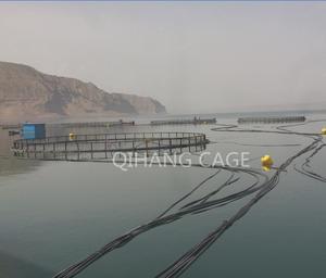 Cage d'aquaculture pour la pisciculture en eaux profondes avec cadre en HDPE et filet en PE/Nylon, diamètre de 8m à 40m, durée de vie de 15 ans - Product Image 5