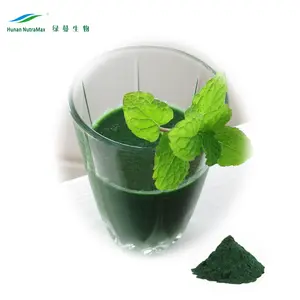 100% Bột Spirulina Maxima Hữu Cơ Tự Nhiên 50%, 60%, 65% Protein