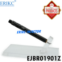 حاقن وقود ERIKC EJBR01901Z لنظام الحقن المشترك EJB R01901Z، مضخة حقن داف EJBR0 1901Z، قطع غيار سيارات، حاقن وقود يورو 3 لـ Delp
