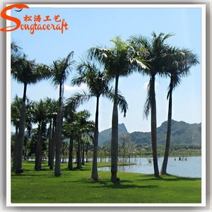 Tất Cả Các Loại Cây Ăn Quả Nhiệt Đới Thường Xanh Nhân Tạo Khổng Lồ Ngoài Trời Cây Cọ Dừa Dubai Cây Để Bán - Product Image 5